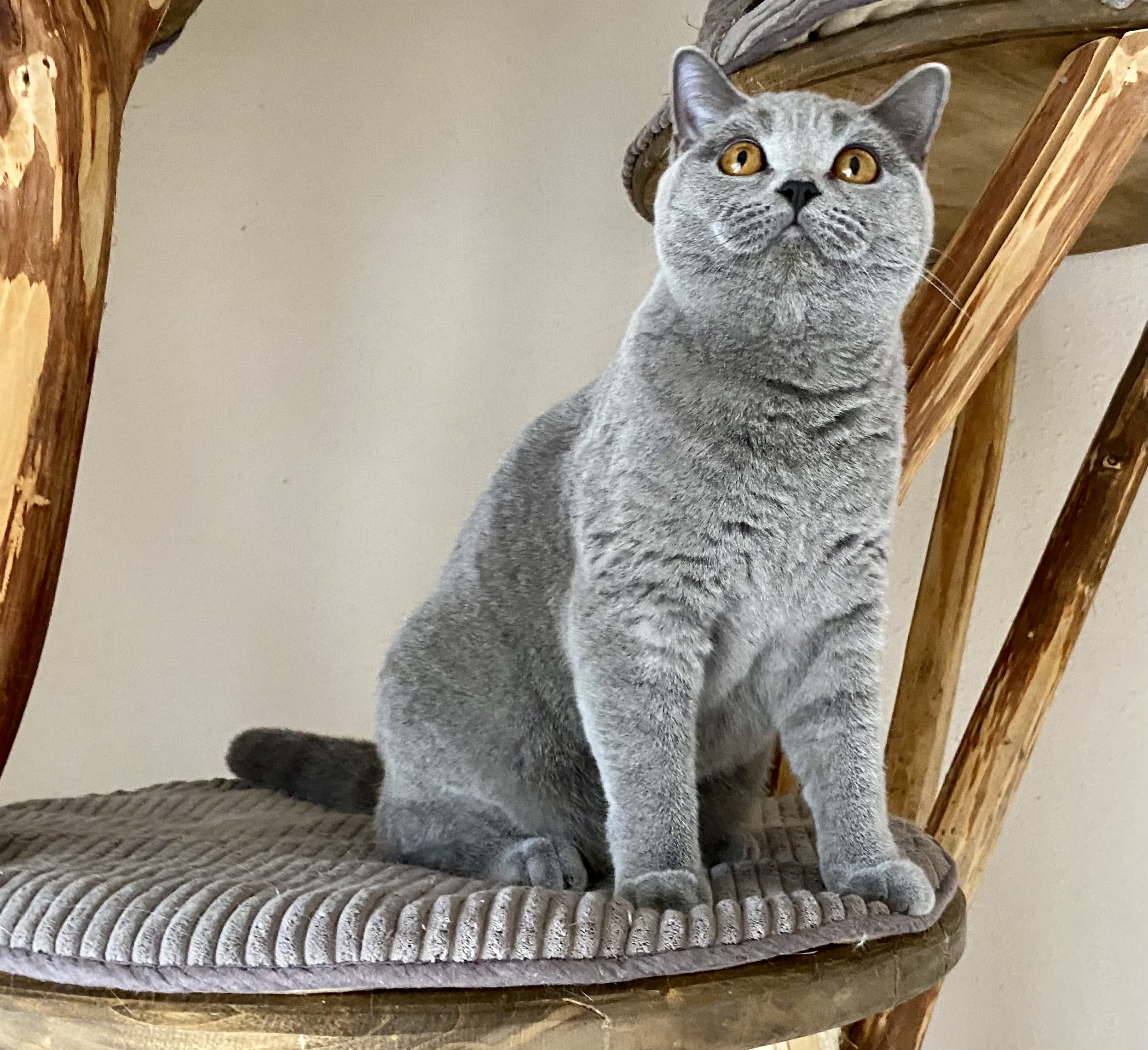 ES*Canción de Cuna (IV) Luz